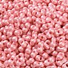 Glass Seed Beads SEED-L011-04A-14-3