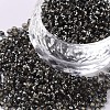 8/0 Glass Seed Beads X2-SEED-A005-3mm-52-1