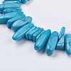 Dyed Natural Howlite Chip Beads Strands X-G-R191-12-3