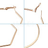 Iron Hoop Earrings EJEW-TA0010-07-4