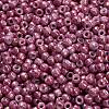 TOHO 6/0 Round Beads X-SEED-TR06-1202-4