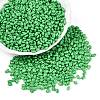 Baking Paint Glass Seed Beads SEED-T006-03F-3