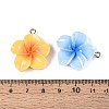 Opaque Resin Pendants RESI-T056-03A-3