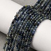 Natural Sapphire Beads Strands G-F803-A01-01B-1