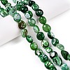 Dyed Natural Agate Beads Strands G-T138-229B-1