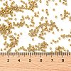 Cylinder Seed Beads SEED-H001-C05-3