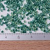 MIYUKI Delica Beads SEED-J020-DB0919-4
