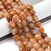 Natural Red Aventurine Beads Strands G-G146-A02-02-2