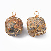 Natural Leopard Skin Jasper Pendants G-N332-50-02-2