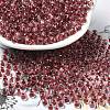 Transparent Glass Round Seed Beads X1-SEED-B001-05A-21-1