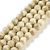 Natural Rainbow Alashan Agate Beads Strands G-NH0022-A04-01-1