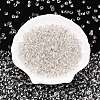 6/0 Baking Paint Transparent Glass Seed Beads SEED-N006-06A-3