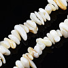 Natural Trochid Shell/Trochus Shell Beads Strands SHEL-S258-080-A01-1