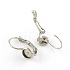 Tarnish Resistant Smooth Surface 304 Stainless Steel Leverback Earring Findings X-STAS-R065-63-1