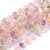 Natural Amethyst & Citrine & Rose Quartz & Prehnite & Quartz Crystal Beads Strands G-Z014-14-1