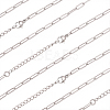 10Pcs 667 Stainless Steel Paperclip Chain Necklaces NJEW-BBC0001-48B-P-1