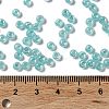 Glass Seed Beads SEED-H002-E-A1419-4