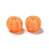 Opaque Resin Imitation Food Decoden Cabochons RESI-B015-06-3