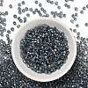 TOHO 6/0 Round Beads SEED-TR06-0272-3