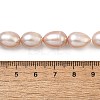 Natural Cultured Freshwater Pearl Beads Strands PEAR-I007-01E-06C-5