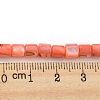 Natural Freshwater Shell Beads Strands SHEL-F008-04F-4