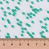 MIYUKI Round Rocailles Beads SEED-JP0009-RR0572-4