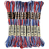 10 Skeins 6-Ply Polyester Embroidery Floss OCOR-CY0004-38J-1
