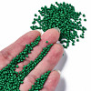 12/0 Glass Seed Beads SEED-S060-A-F280-4