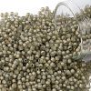 TOHO Round Seed Beads SEED-JPTR11-0369FM-1