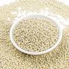 MIYUKI Round Rocailles Beads SEED-G008-RR0486-2