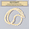 Olycraft Natural White Shell Beads Strands SHEL-OC0001-02-4