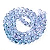 Baking Paint Transparent Glass Beads Strands DGLA-A035-T10mm-A06-3