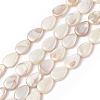 AB Color Plated Natural Freshwater Shell Beads Strands BSHE-G033-02-1