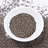 MIYUKI Delica Beads SEED-X0054-DB0380-2