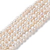 Natural Cultured Freshwater Pearl Beads Strands PEAR-E018-62-1