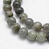 Natural Labradorite Beads Strands G-P322-29-8mm-3