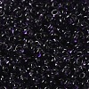 Transparent Colours Glass Seed Beads X1-SEED-P006-02A-12-3