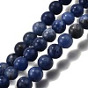 Round Natural Sodalite Beads Strands G-F222-39-8mm-2