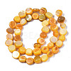 Natural Trochid Shell/Trochus Shell Beads Strands SHEL-S258-083-B10-2