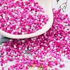 Baking Paint Glass Seed Beads SEED-S042-05B-47-1