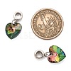 Large Hole Alloy European Dangle Charms PALLOY-JF00041-01-3