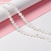Natural Trochid Shell/Trochus Shell Beads SSHEL-O001-25B-02-5
