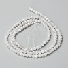 Natural Rainbow Moonstone Beads Strands X-G-O186-D02-01-3