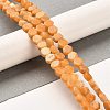 Natural Dolomite Beads Strands G-F765-G07-01-2