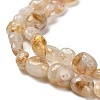 Natural Yellow Lodolite Quartz Beads Strands G-P497-01E-39B-4