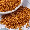MIYUKI Round Rocailles Beads X-SEED-G008-RR4454-1