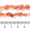 Natural Agate Beads Strands G-P497-01C-11-5