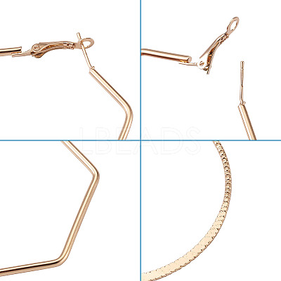 Iron Hoop Earrings EJEW-TA0010-07-1