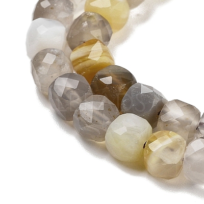 Natural Botswana Agate Beads Strands G-H042-A07-02-1