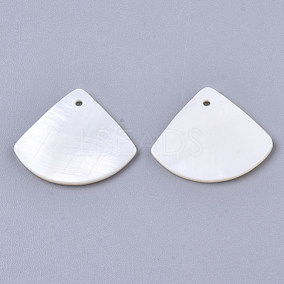 Natural Freshwater Shell Pendants LS-SHEL-R047-19-1